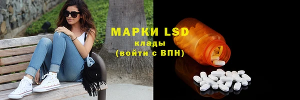ГАЛЛЮЦИНОГЕННЫЕ ГРИБЫ Арсеньев