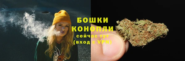 ГАЛЛЮЦИНОГЕННЫЕ ГРИБЫ Арсеньев