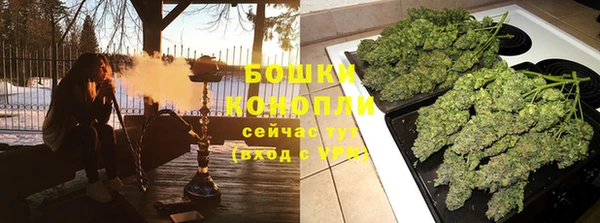 apvp Аркадак