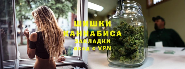 ГАЛЛЮЦИНОГЕННЫЕ ГРИБЫ Арсеньев